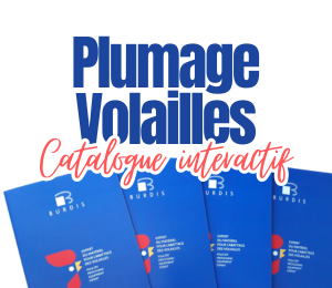 Lien catalogue interactif partie plumage